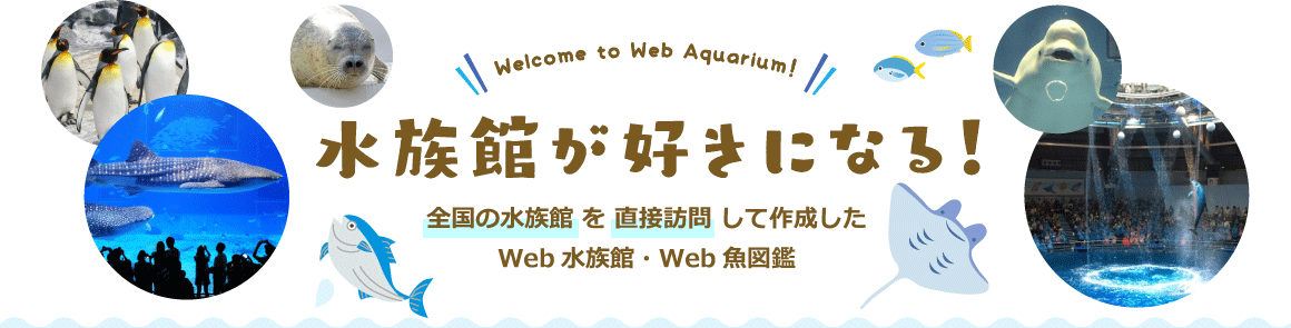 水族館が好きになる