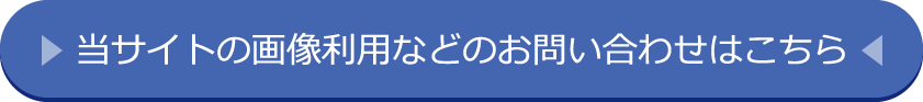 画像利用のお問い合わせ