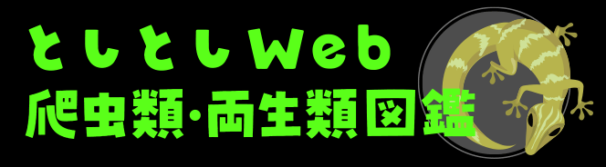 としとしWeb爬虫類・両生類図鑑